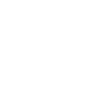 はくびし 本みりん